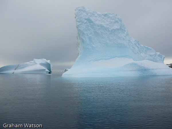 Icebergs at Pleneau Island