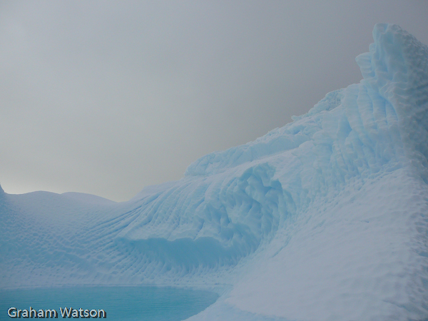 Icebergs at Pleneau Island