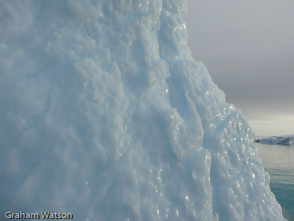 Icebergs at Pleneau Island