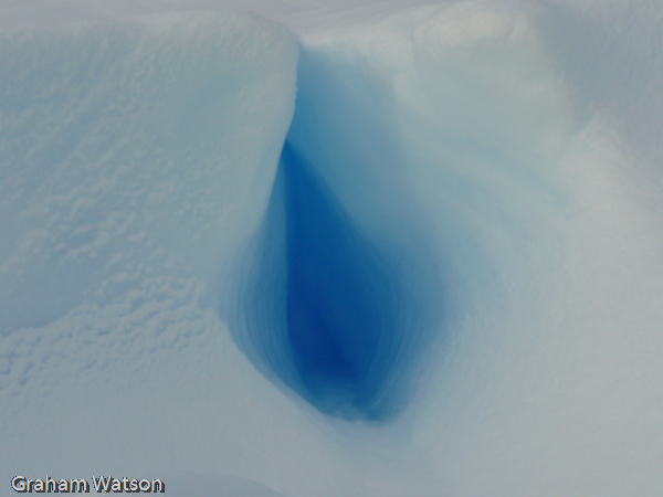Icebergs at Pleneau Island