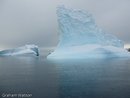 Icebergs at Pleneau Island