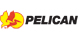 Pelican
